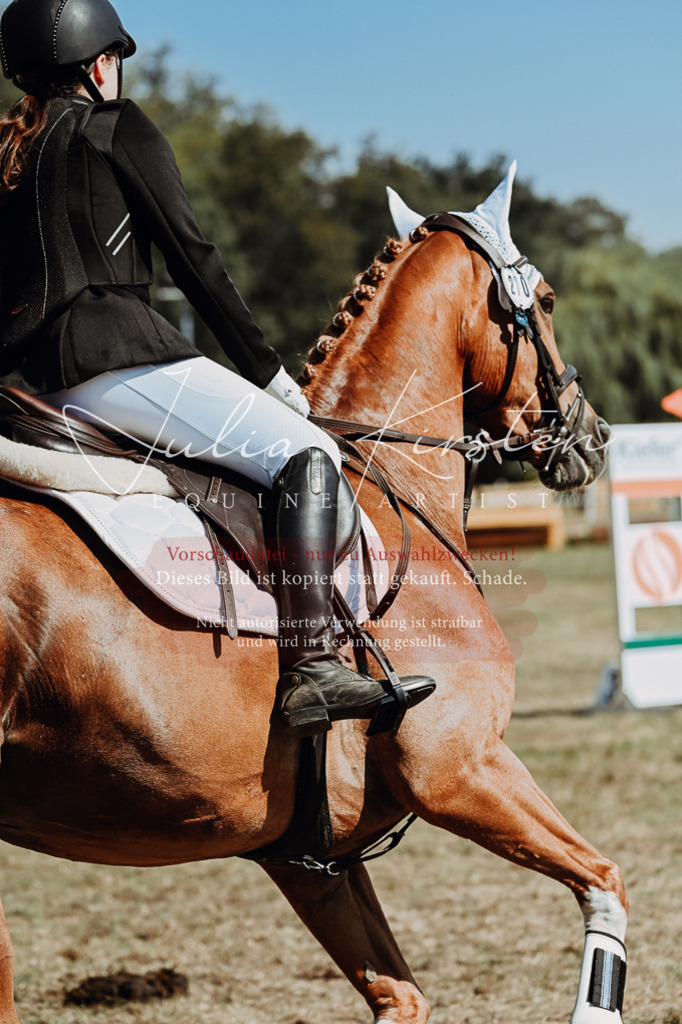 DSC_9596 | Pferde- und Turnierfotografie in Westsachsen. Pferdeportraits, Auftragszeichnungen und intuitive Kunst.