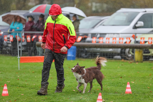 2025_Rally_Obedience_SM-159 | Ich fotografiere Hundeausstellungen, Sportanlässe, Zuchtstätten, Hundezucht, Hundeportrait, Lagotto - Realisiert mit Pictrs.com