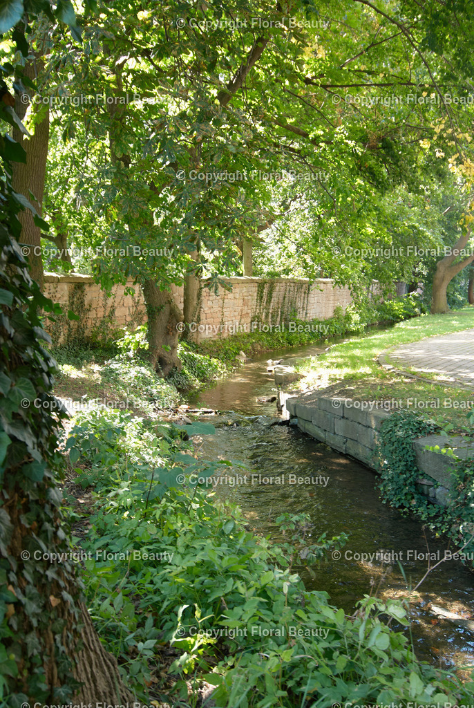Alte Mauer | Bachlauf mit alter Mauer - Realisiert mit Pictrs.com