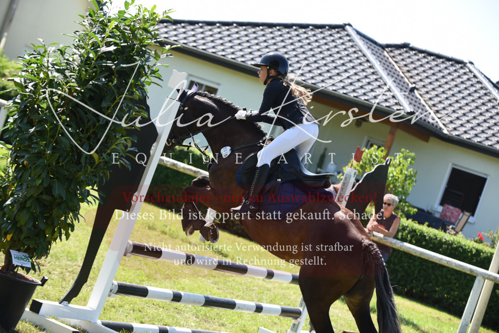 DSC_9590 | Pferde- und Turnierfotografie in Westsachsen. Pferdeportraits, Auftragszeichnungen und intuitive Kunst.