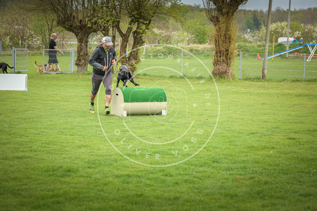 Pfotenfotografie_0L8A9542 | Hundefotografie, Tierfotograf, Pfotenfotografie, Fotoshooting Hund, Hunde Portrait, Hundesport, Hundeportraits, Heideshooting, Hunde, Sportfotograf, Hundefotograf, Turnierhundsport, THS,  - Realisiert mit Pictrs.com