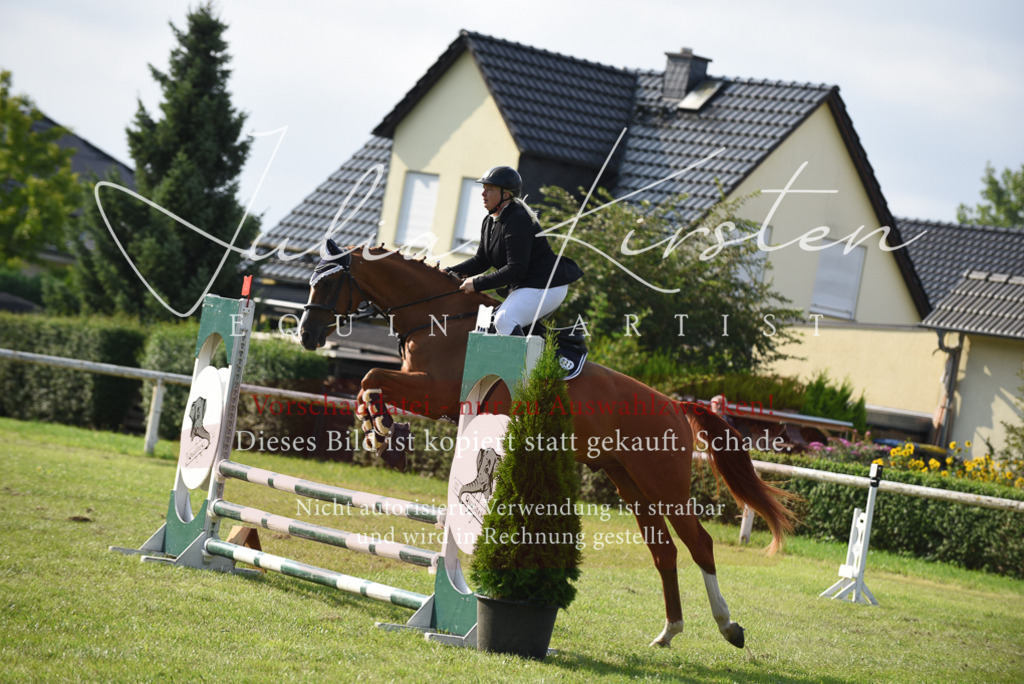 DSC_8698 | Pferde- und Turnierfotografie in Westsachsen. Pferdeportraits, Auftragszeichnungen und intuitive Kunst.