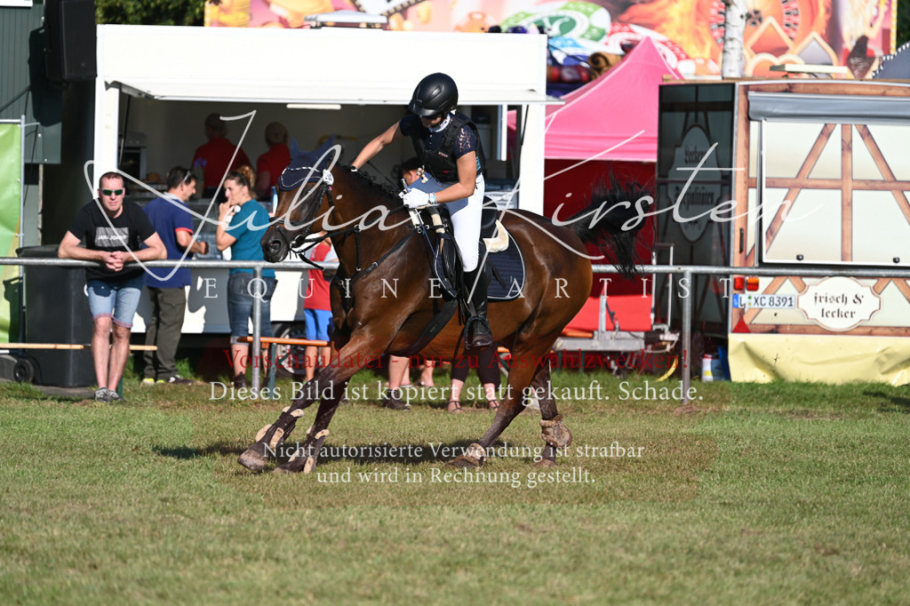 DSC_4858 | Pferde- und Turnierfotografie in Westsachsen. Pferdeportraits, Auftragszeichnungen und intuitive Kunst.