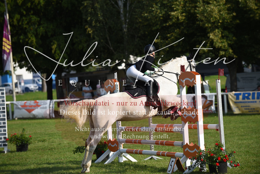DSC_8648 | Pferde- und Turnierfotografie in Westsachsen. Pferdeportraits, Auftragszeichnungen und intuitive Kunst.