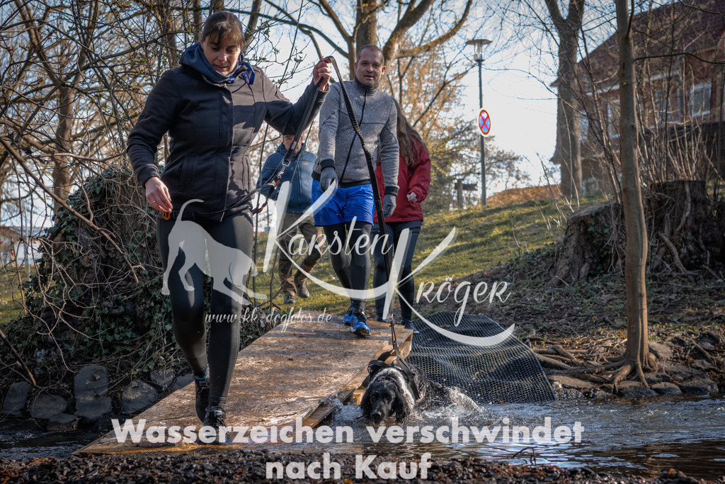 0831_ZZ91937 | kk-dogfotos