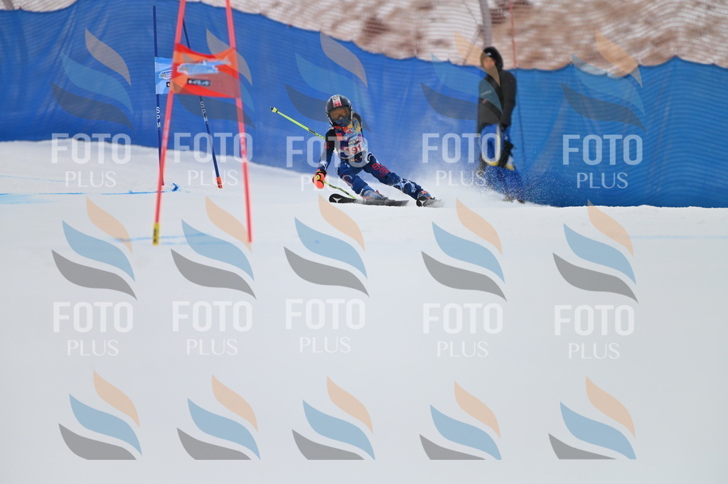 BGV_1454 | holidayphoto