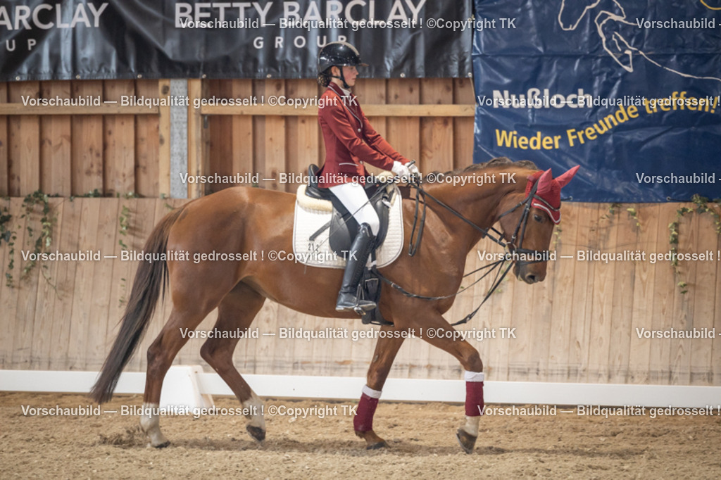 _D5A5564 | Emotionale Pferde- & People-Fotografie rund um Heidelberg, Leimen & Umgebung. Natürliche Fotos von Pferd, Mensch & Familie. Jetzt Termin sichern!