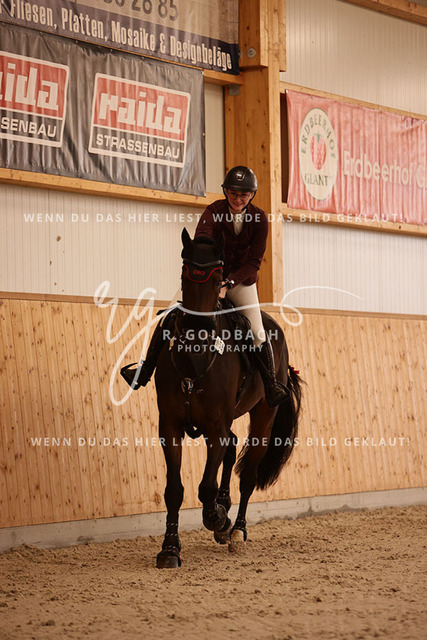 1J2A3049Leonie Ulrich_ Campino M 5_ Kn058_ Hohen Wieschendorf_ Glantz | Foto- und Videografie für alles rund ums Pferd. Hochwertige Bilder und Videos vom Spring- und Dressurreiten, Voltigieren & mehr. Jetzt aktuelle Veranstaltungen und Preise im Shop ansehen. - Realisiert mit Pictrs.com