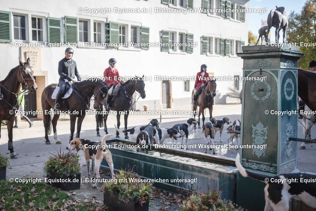 20251011_Jagd-Marbach_0648 | Foto: Thomas Hartig