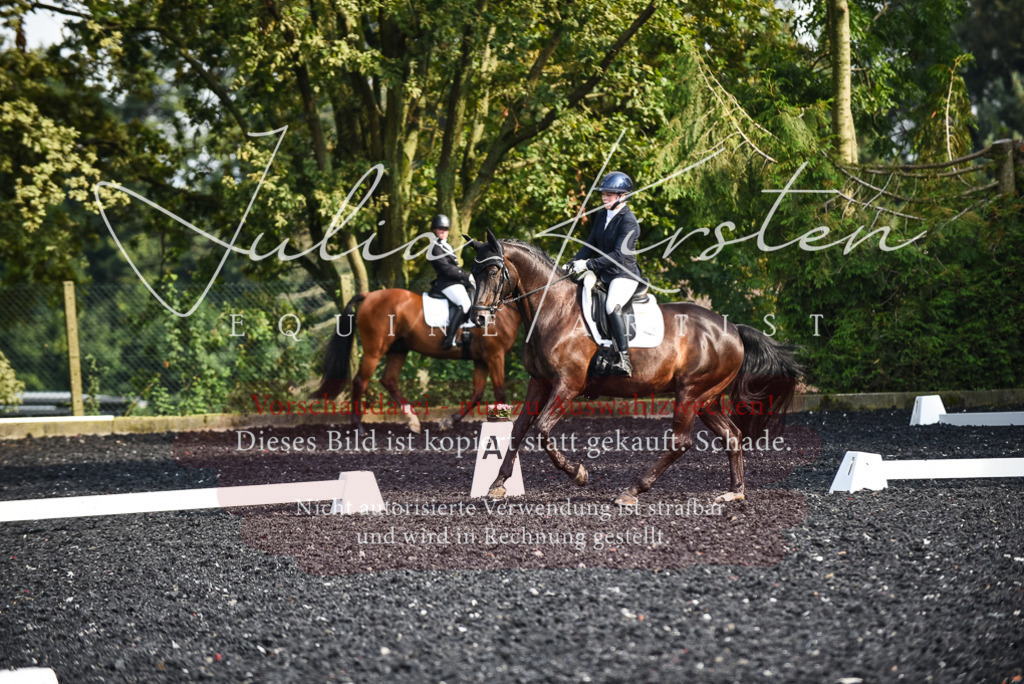 DSC_3142 | Pferde- und Turnierfotografie in Westsachsen. Pferdeportraits, Auftragszeichnungen und intuitive Kunst.