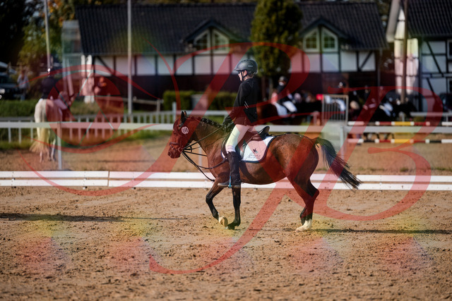 2026_10_03_Siefer-Hof_122031_Z63_43216577 | Professionelle Reitsport-, Turnier- und Eventfotografie von Robert Broda. Galerien mit ausgewählten und bearbeiteten Bildern direkt online ansehen und bestellen.