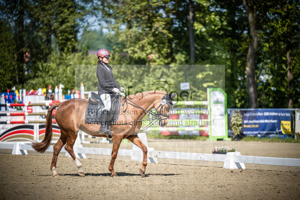 DOS_1458 | Reitturnier Venne - Realisiert mit Pictrs.com