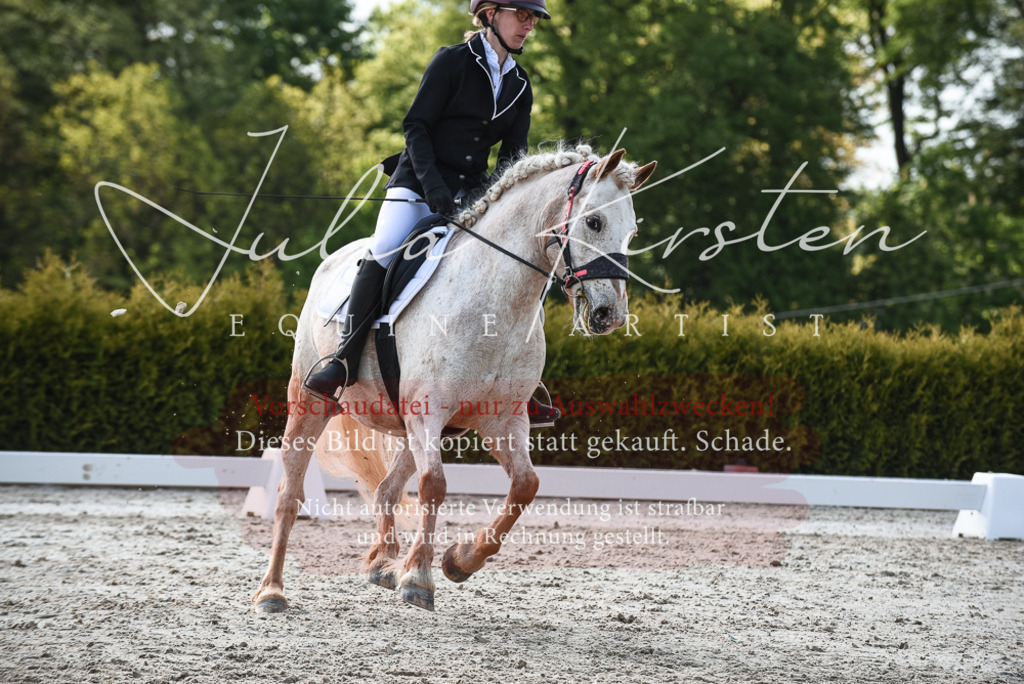 20230518_JK-Röhrsdorf-09-1592 | Pferde- und Turnierfotografie in Westsachsen. Pferdeportraits, Auftragszeichnungen und intuitive Kunst.