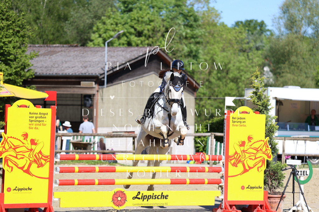 IMGS6821 | pl-fotografie