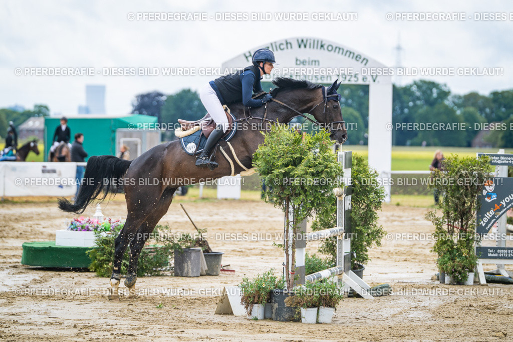 DSC04603 | Pferdegrafie