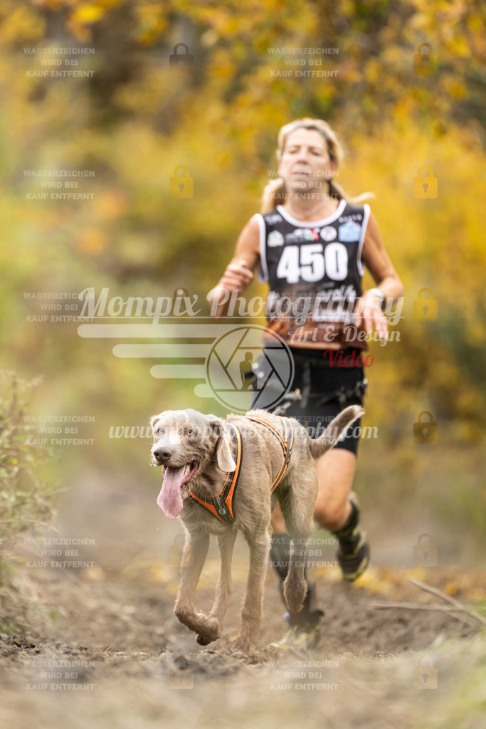 MompixPhotography_ICF_WC_2024_SA_Run_-460 | PayLife