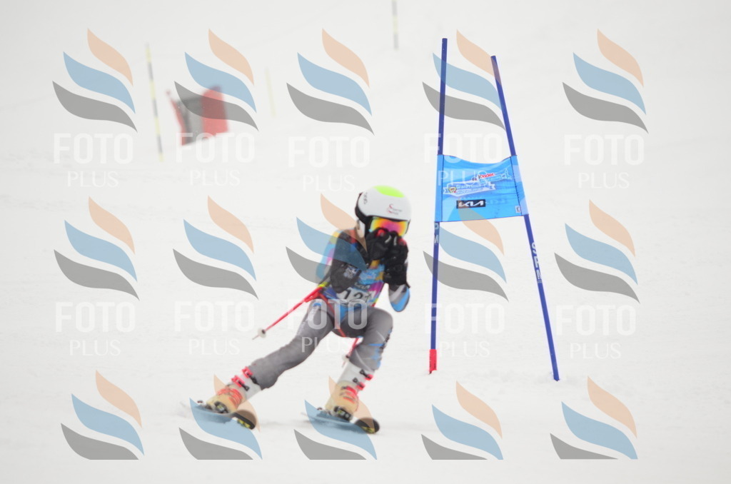 C1551 | holidayphoto