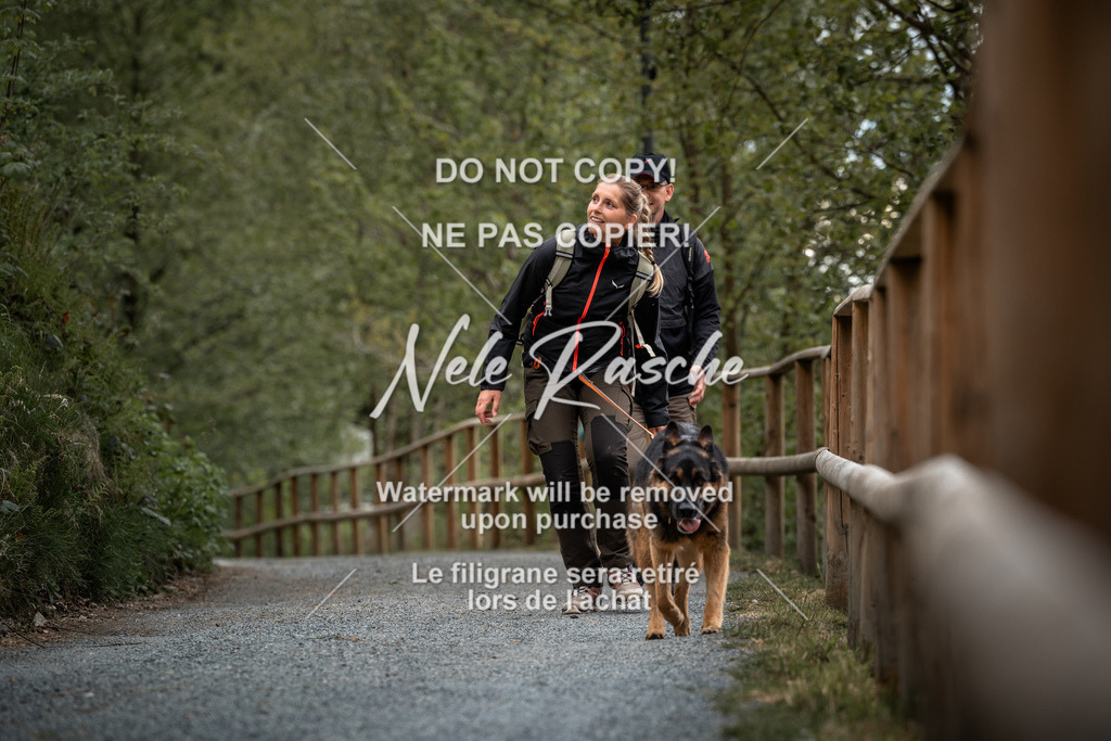 nelerasche_SaAbends_01 | nelerasche