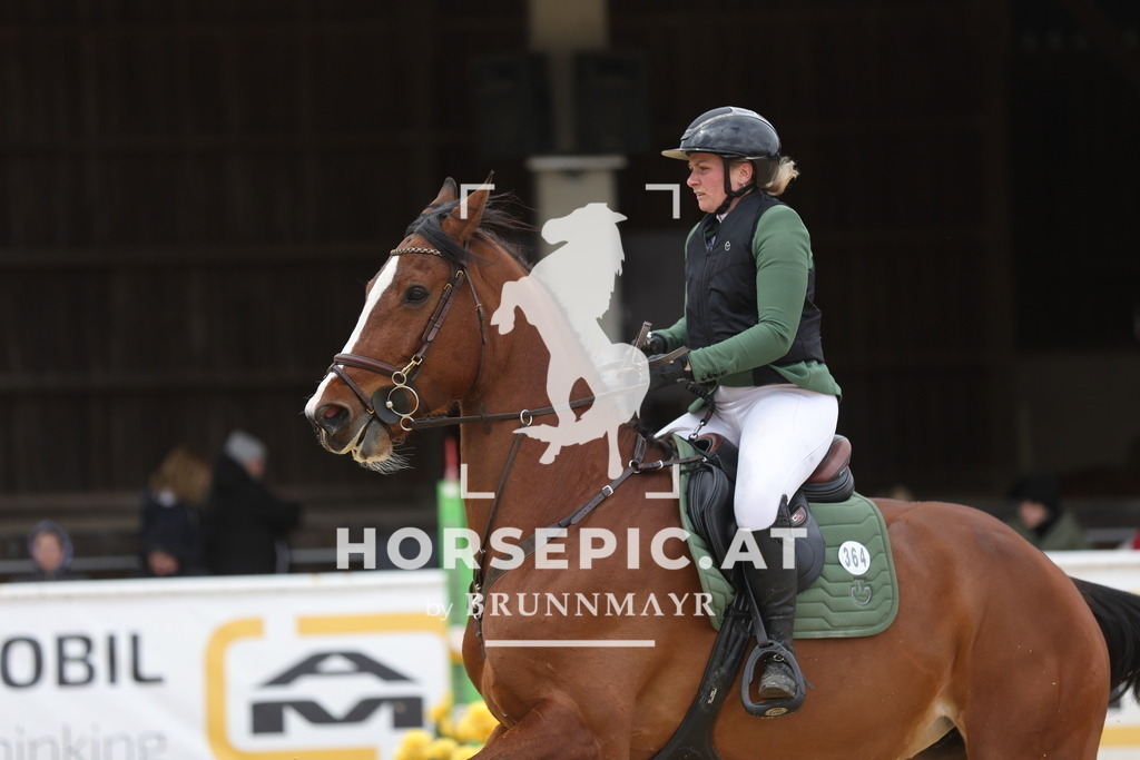 0P6A3227 | Willkommen bei Brunnmayr - Design & Fotografie – Ihrem Spezialisten für Reitturniere und Pferdeveranstaltungen in Oberösterreich, Salzburg und Bayern! Seit über 17 Jahren sind wir leidenschaftlich dabei.