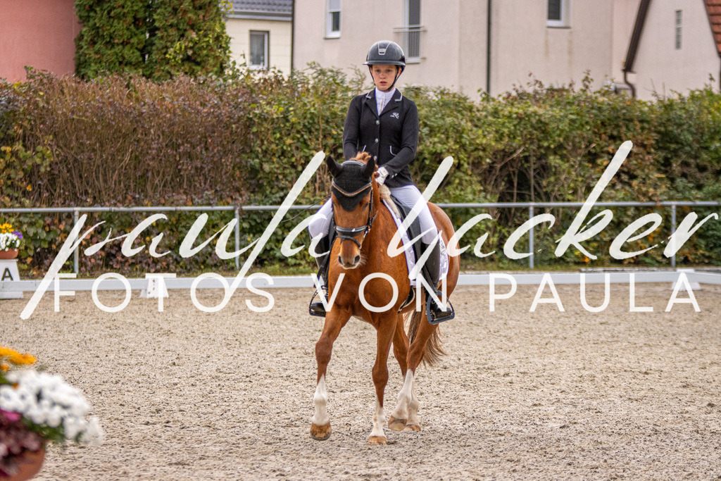 IMG_2712 | Erleben Sie dynamische Sport- und emotionale Tierfotografie in Süddeutschland mit Fotos von Paula. Spezialisiert auf Pferde- und Hundefotografie sowie Sportevents. Kontaktieren Sie mich für einzigartige und ausdrucksstarke Bilder Ihrer besonderen Momente.