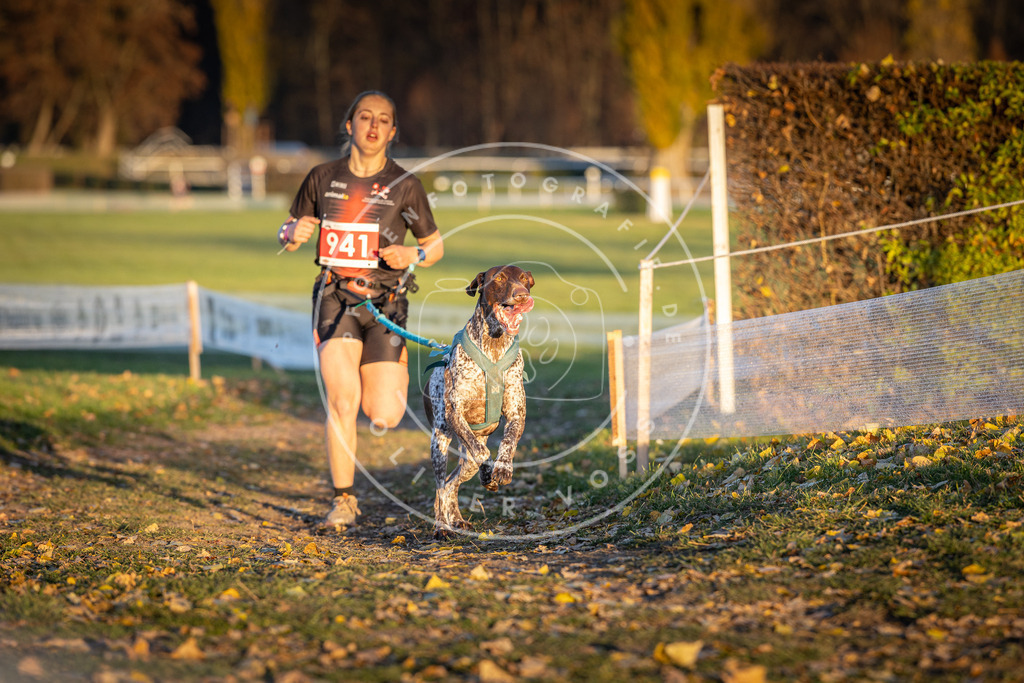 CaniXpix_DV3A5395 | Hundefotografie, Tierfotograf, Pfotenfotografie, Fotoshooting Hund, Hunde Portrait, Hundesport, Hundeportraits, Heideshooting, Hunde, Sportfotograf, Hundefotograf, Turnierhundsport, THS,  - Realisiert mit Pictrs.com