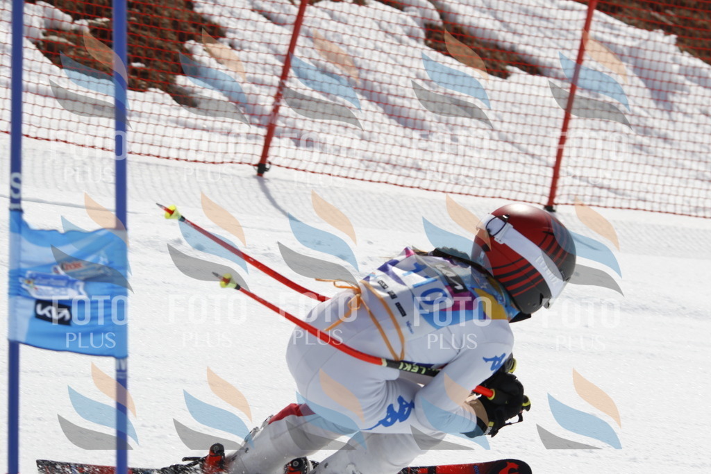 _U3G0503 | holidayphoto