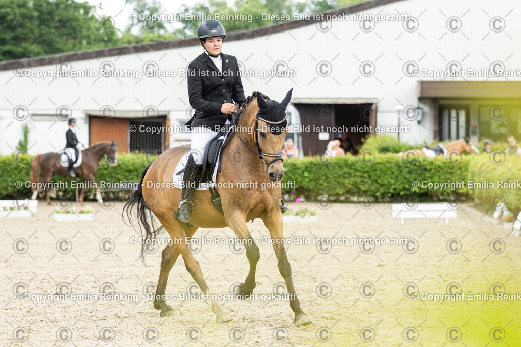 CL5A1265 | Emilia Reinking Fotografie - Realisiert mit Pictrs.com