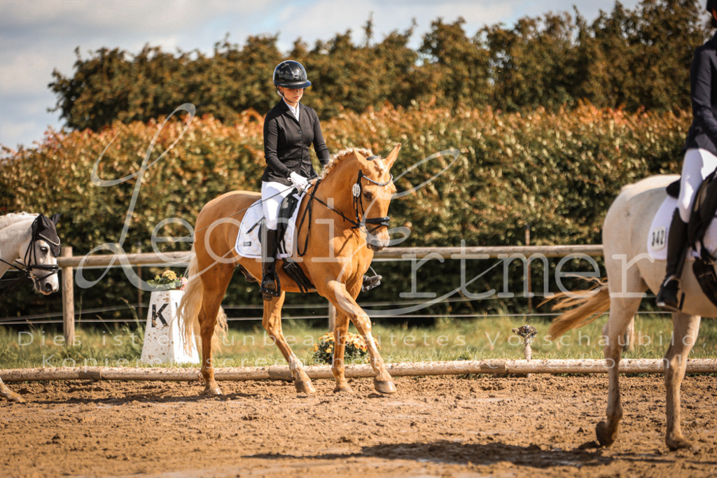 02.SoDrWB00074 | Leoni Ertmer Photography - Realisiert mit Pictrs.com