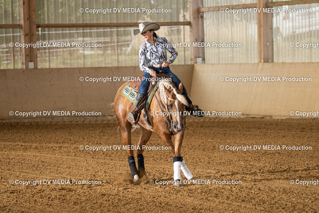 LAU01533 | dv-media-shop - Realisiert mit Pictrs.com