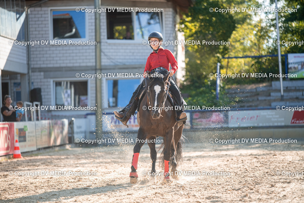 EWP_7130 | dv-media-shop - Realisiert mit Pictrs.com