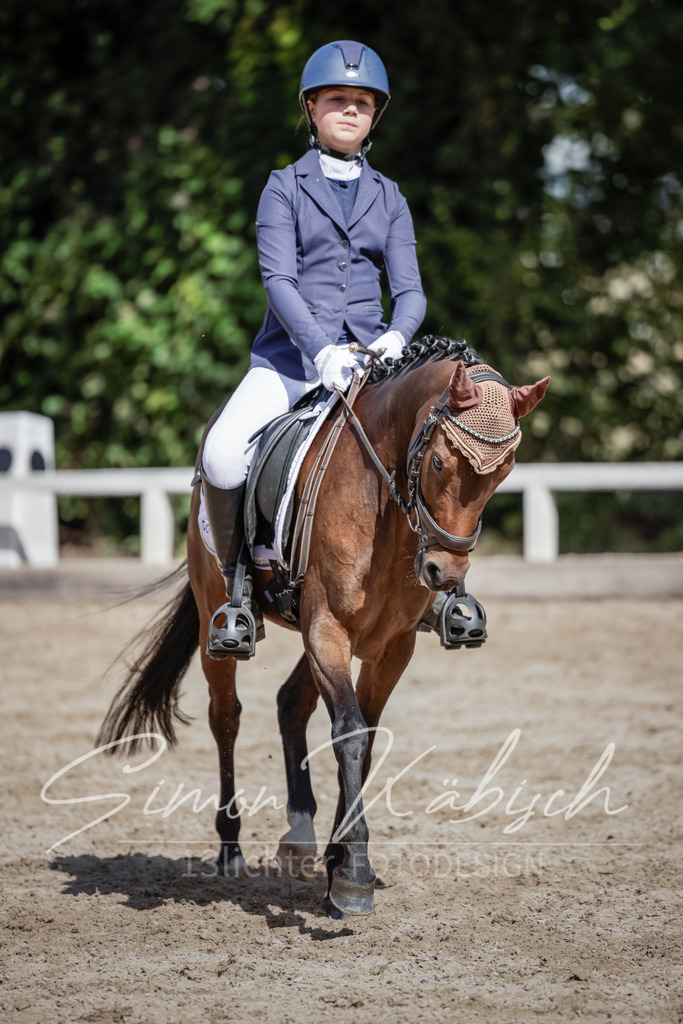 20250906-_3LI5646 | Tierfotografie Pferde, Hunde, Katzen, Haustiere.
Turnierfotografie Reitturniere, Reiten, Springreiten, Dressur in Hanau, dem Main-Kinzig-Kreis und dem Rhein-Main- Gebiet um Frankfurt