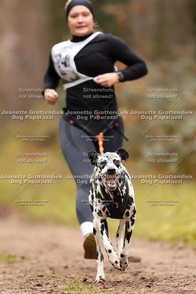 Dog Paparazzi - Speedhunter Mannheim  2025-63 | Dog Paparazzi Jeanette Grottendiek Fotografie & Videografie