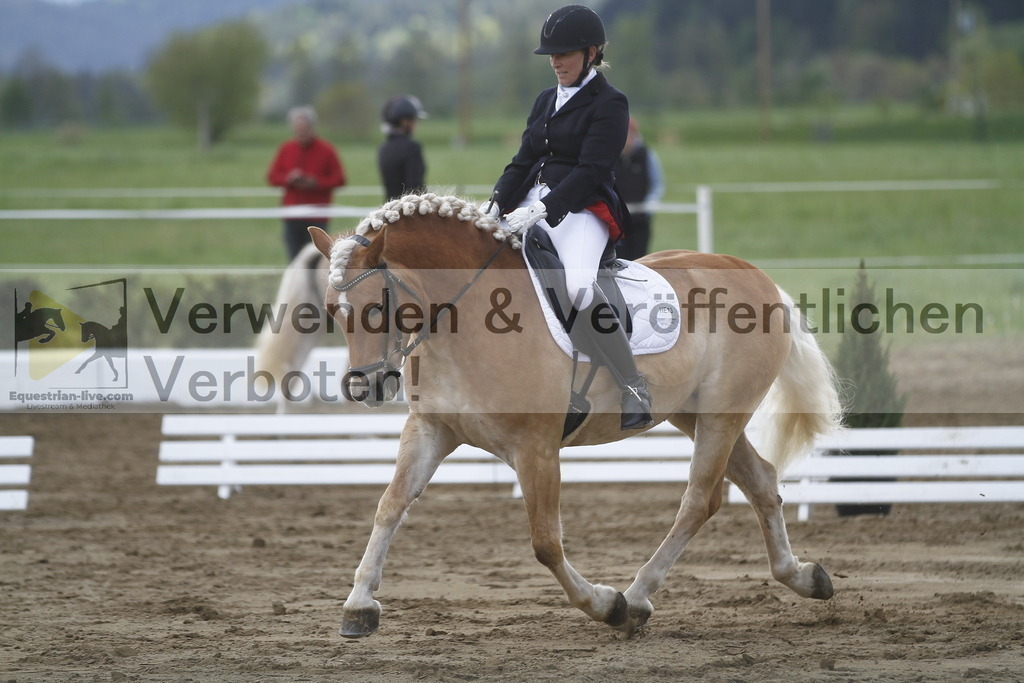 _MG_3604 | equestrian-live-com