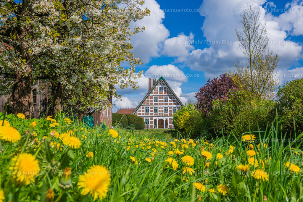 Jork Obst Blüte Fachwerk_ELS_2912170424 | Fotos aus den Touristenorten aus Norddeutschland. - Realisiert mit Pictrs.com