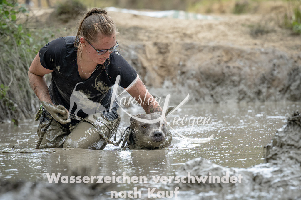 1447_ZZ90374 | kk-dogfotos