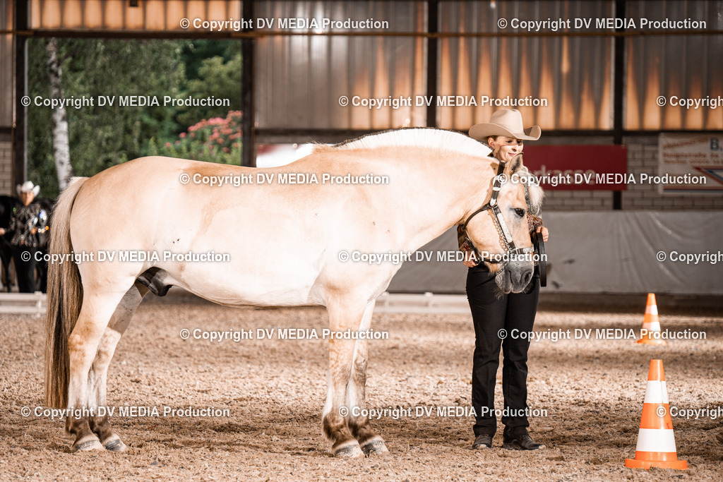 ZH200171 | dv-media-shop - Realisiert mit Pictrs.com