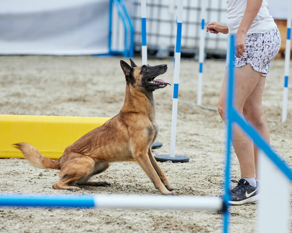 580A0208 | Peter Fridle Fotografie - Realisiert mit Pictrs.com