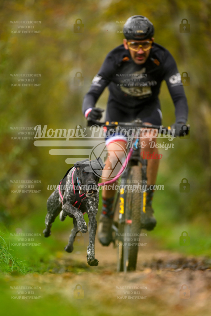 MompixPhotography_20TSB_E6_Bike-58 | PayLife