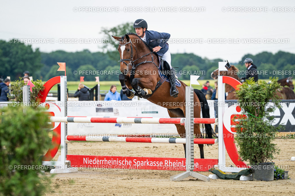 DSC05644 | Pferdegrafie