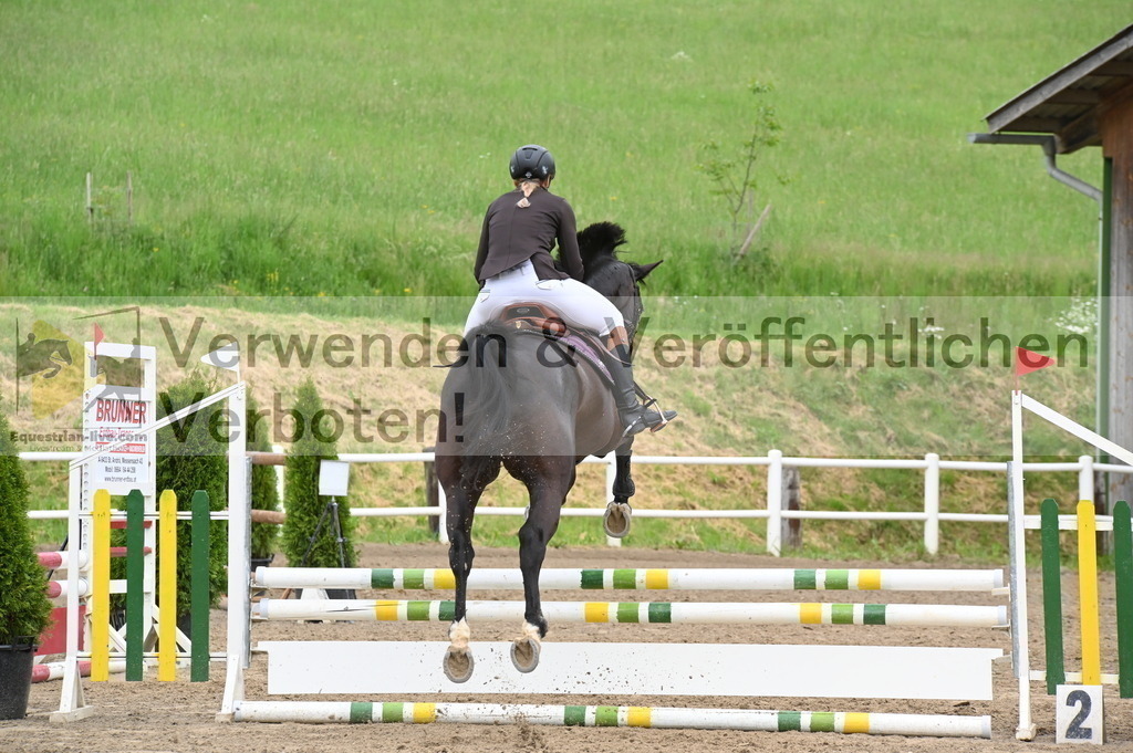 DSC_7933 | equestrian-live-com