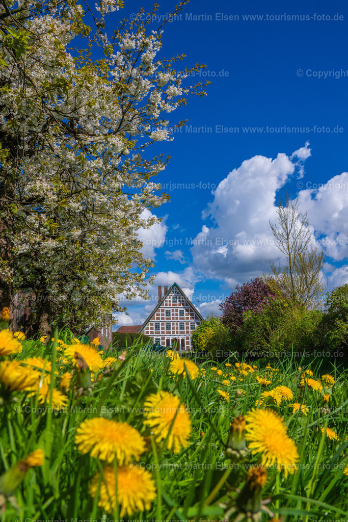 Jork Obst Blüte Fachwerk_ELS_2869170424a | Fotos aus den Touristenorten aus Norddeutschland. - Realisiert mit Pictrs.com