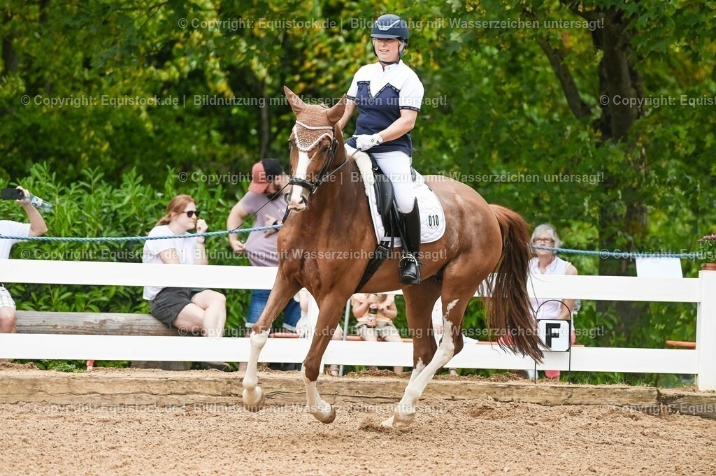 20230715_07_Dressurpferdeprfg. Kl.L_0041 | equistock