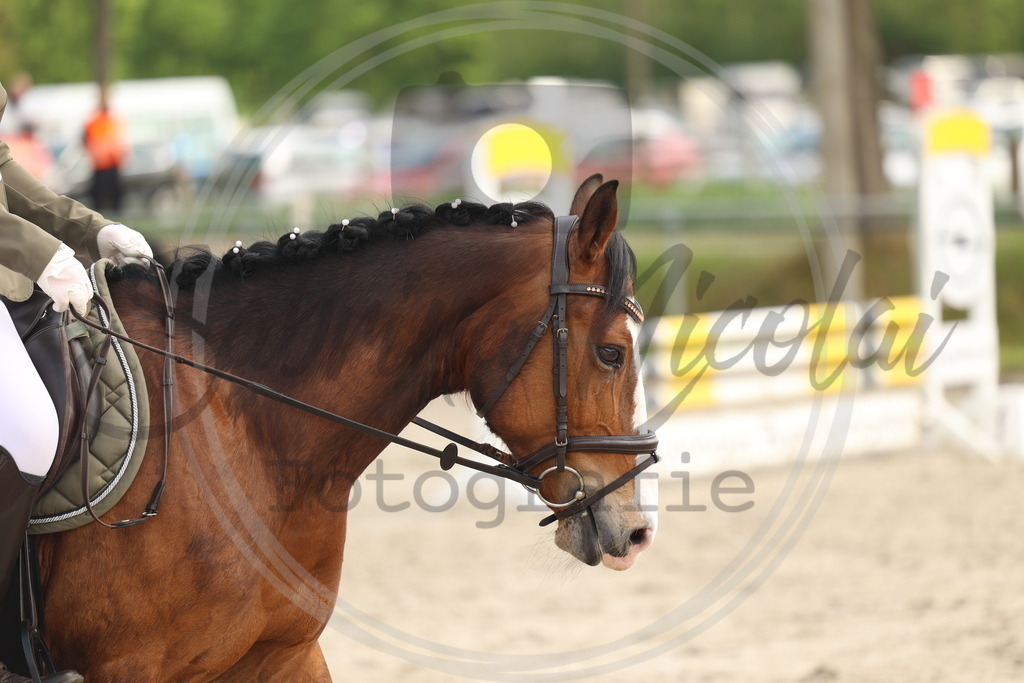 994A7852 | sabrinanicolaifotografie - Realisiert mit Pictrs.com