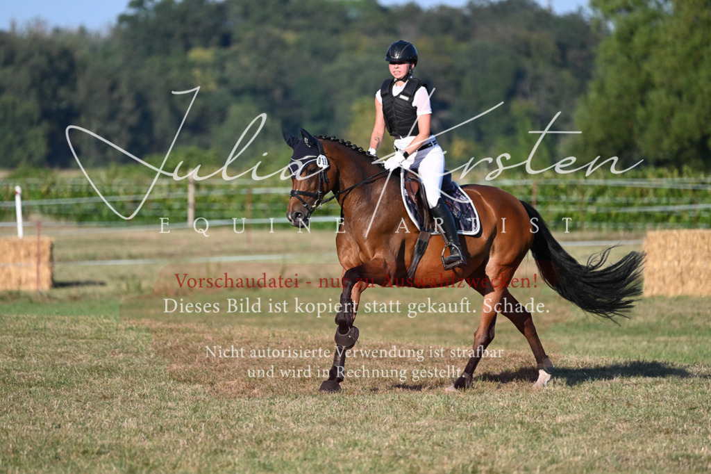 DSC_9167 | Pferde- und Turnierfotografie in Westsachsen. Pferdeportraits, Auftragszeichnungen und intuitive Kunst.