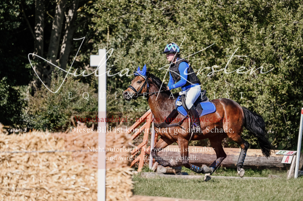 DSC_3119 | Pferde- und Turnierfotografie in Westsachsen. Pferdeportraits, Auftragszeichnungen und intuitive Kunst.