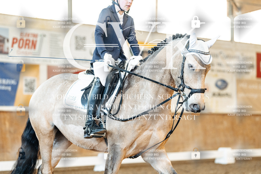 CK907340 | Turnierfotografie Pferdefotografie Trier Rheinland-Pfalz Pferdesport Reitsport Tierfotografie Sportfotografie Pferdevideo Pferdevideografie Equestrianvideography equestrianphotography  - Realized with Pictrs.com