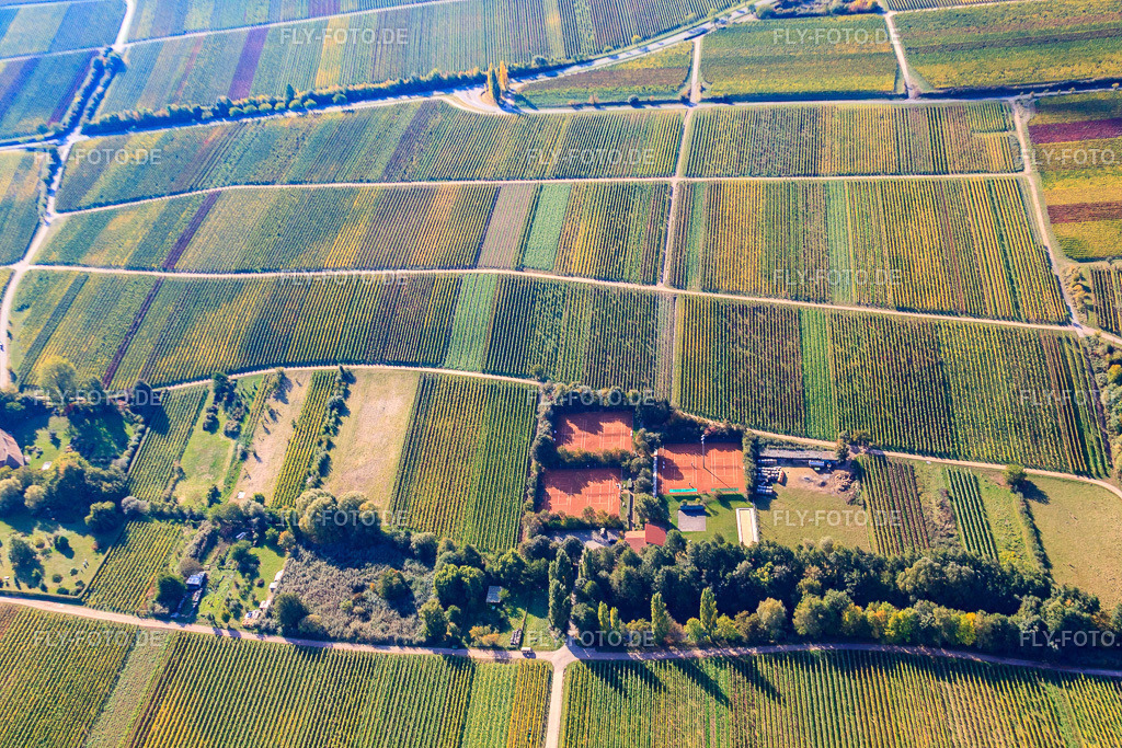 Tennisclub Modenbachtal | Luftbild: Tennisclub Modenbachtal in Hainfeld im Bundesland Rheinland-Pfalz in Deutschland. Foto: IMG_22205.jpg vom 15.10.2009 durch Werner Riehm/FLY-FOTO.de - Realisiert mit Pictrs.com
