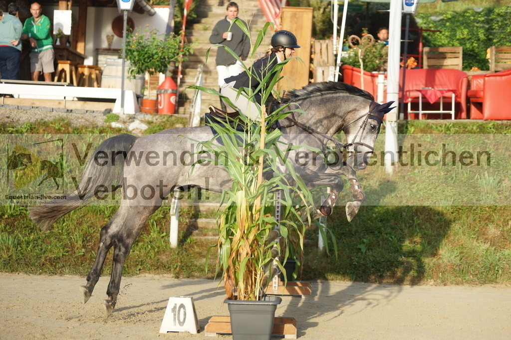 DSC02111 | equestrian-live-com