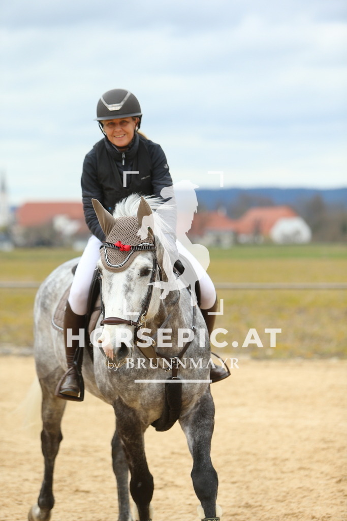 DL2Q2566 | Willkommen bei Brunnmayr - Design & Fotografie – Ihrem Spezialisten für Reitturniere und Pferdeveranstaltungen in Oberösterreich, Salzburg und Bayern! Seit über 17 Jahren sind wir leidenschaftlich dabei.