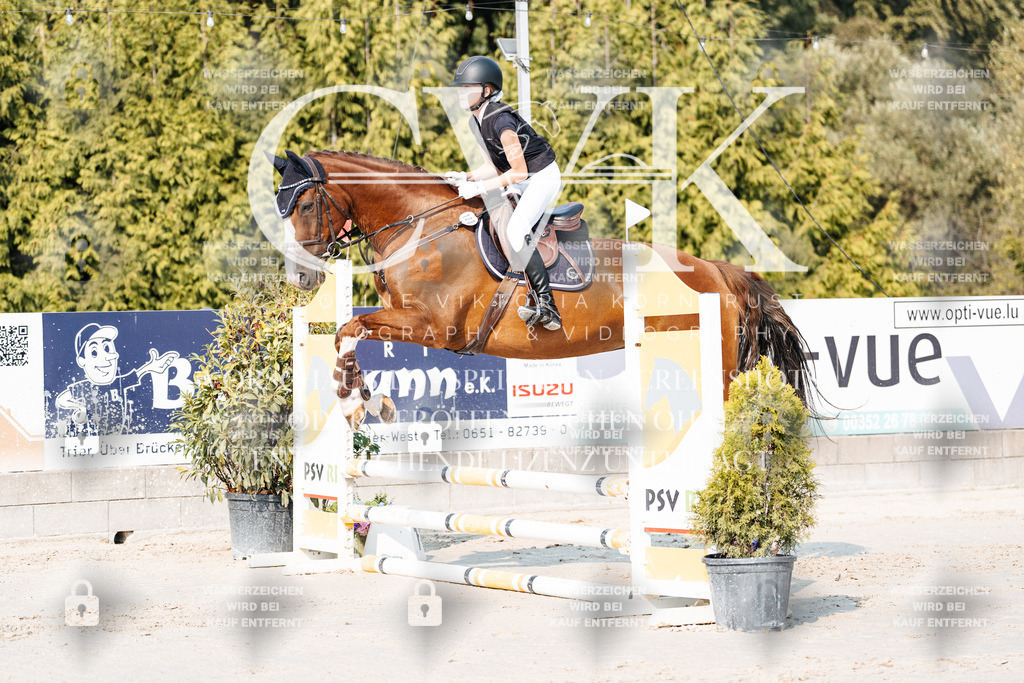 CK902755 | Turnierfotografie Pferdefotografie Trier Rheinland-Pfalz Pferdesport Reitsport Tierfotografie Sportfotografie Pferdevideo Pferdevideografie Equestrianvideography equestrianphotography  - Realisiert mit Pictrs.com